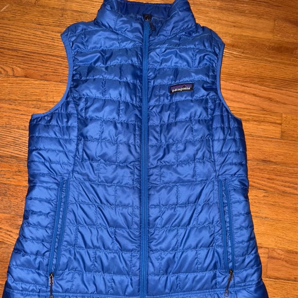 Patagonia Vibrant Blue Puffer Vest